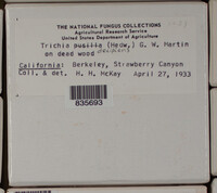 Image Associated With the Occurence